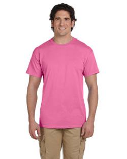 click to view AZALEA NEW