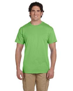 click to view KIWI