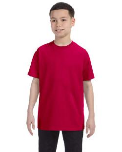 click to view GARNET
