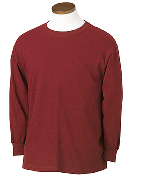 click to view GARNET