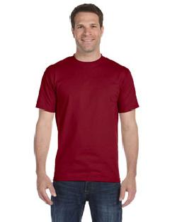 click to view GARNET