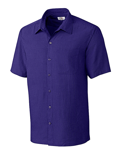 click to view College Purple(CLP)